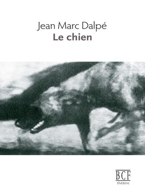 cover image of Chien